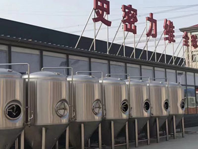 当涂精酿啤酒设备厂—如何判断精酿啤酒设备的密封件需要更换？